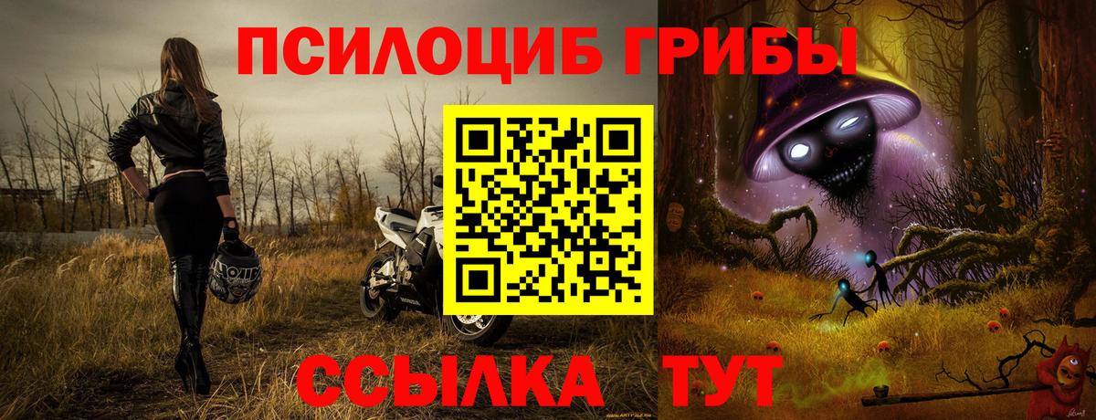 что такое наркотик  Псилоцибиновые грибы Cubensis  Вход с VPN  Карталы 
